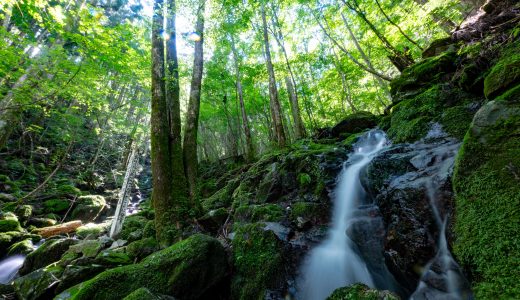 CLS高知2024戻鰹編　ワーケーション開催決定！